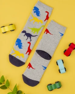 Prenatal Intimo E Calze-Antiscivolo Boy "Dinosauri”