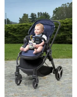 Chicco Giochi Interattivi E Prescolari-procione Luci E Suoni