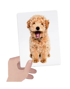 Headu Giochi Didattici-Flashcards Tactile Montessori. Osserva Tocca E Senti! 1/4 Anni -