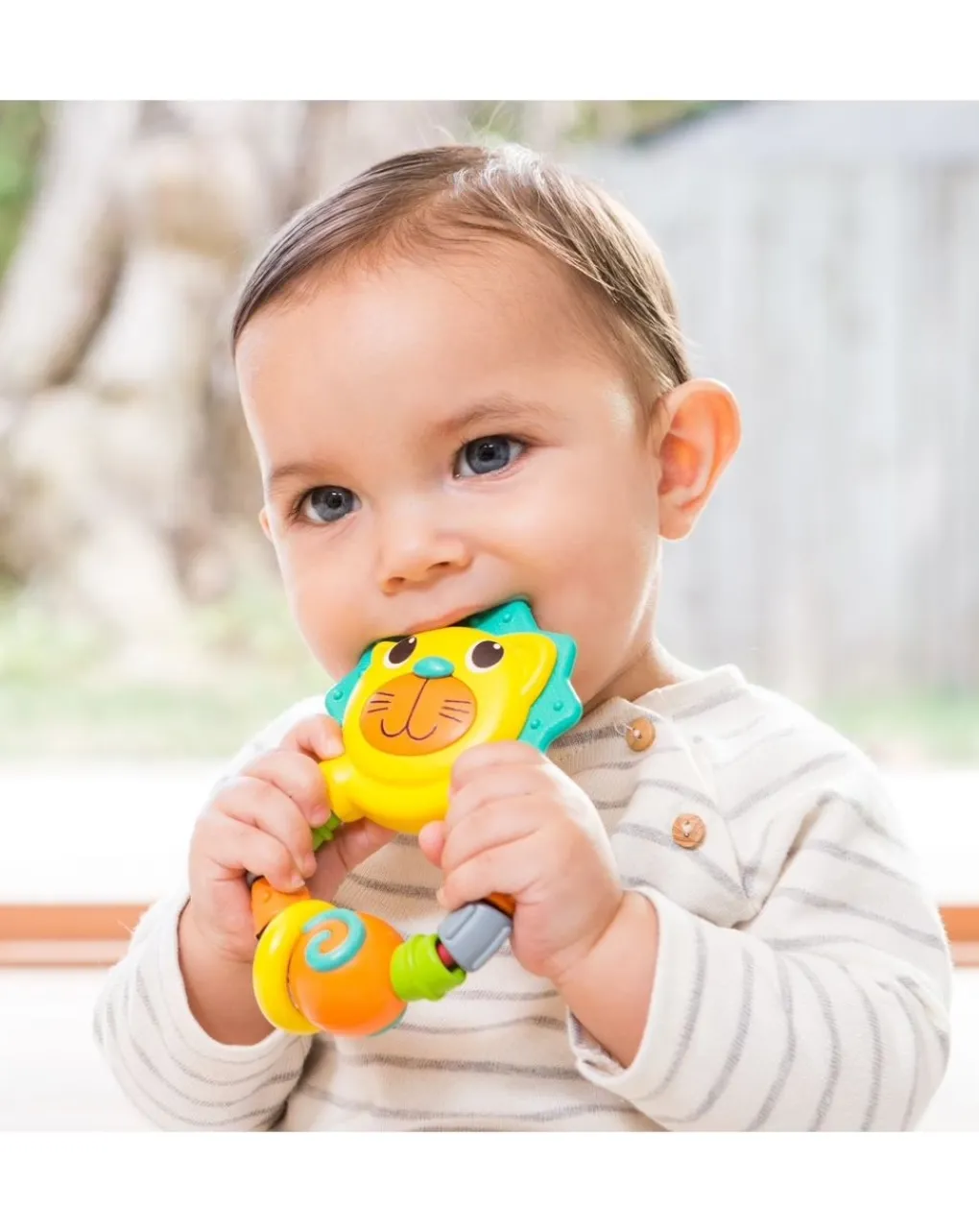 Infantino Giochi Primi Mesi-- Dentaruolo Leone