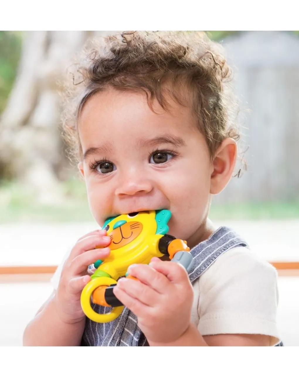 Infantino Giochi Primi Mesi-- Dentaruolo Leone