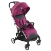 Chicco Passeggini-Passeggino Goody Plus Pink