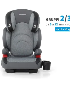 Foppapedretti Gruppo 36 Kg-Seggiolino Auto Best Duofix Silver -