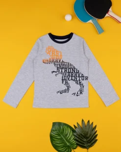 Prenatal Magliette E Camicie-T-Shirt Bimbo Grigia "Dino”